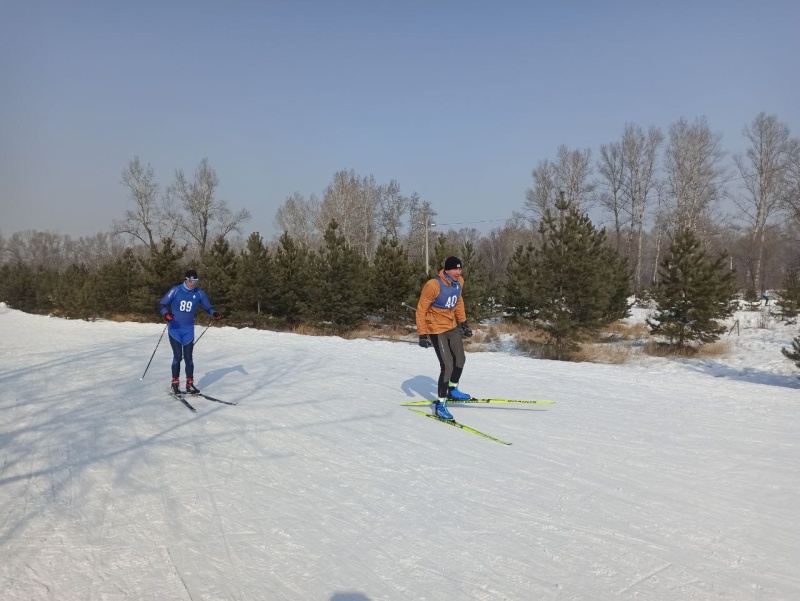 Лыжные гонки