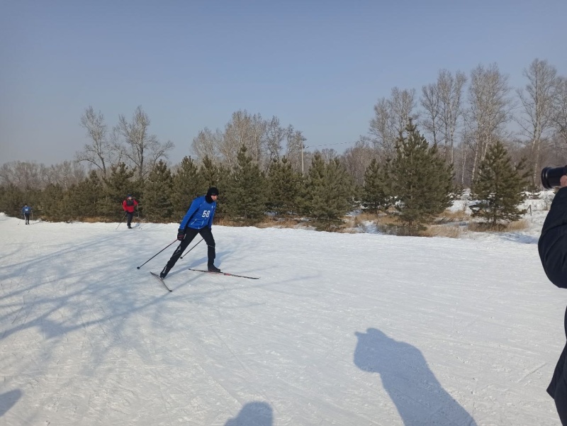 Лыжные гонки